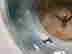 item-120720935=11