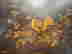 item-120720942=16