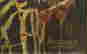 item-128943449=3