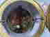item-128943552=12