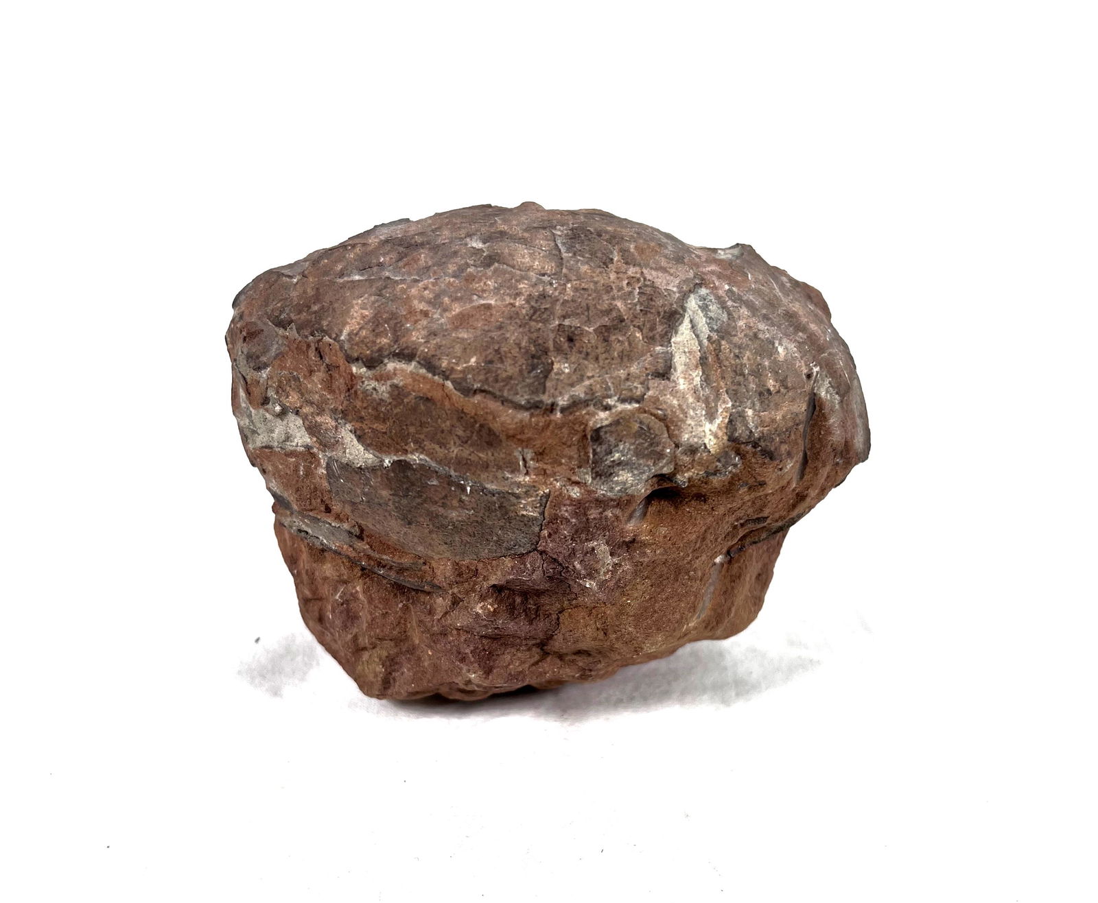 Dinosaur Egg Fossilized Crystalized Jurassic World (1 of 12)