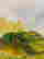 item-133268521=4
