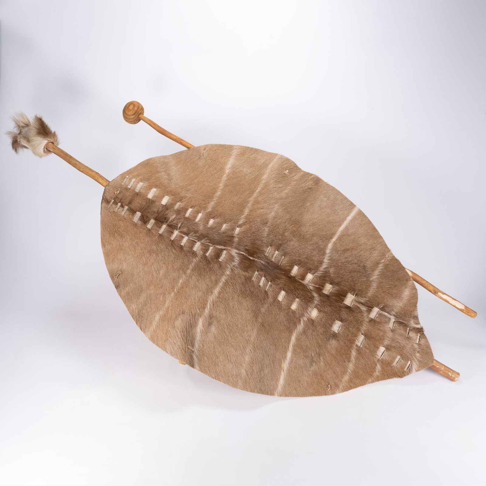 African Zulu War Battle Shield (1 of 4)