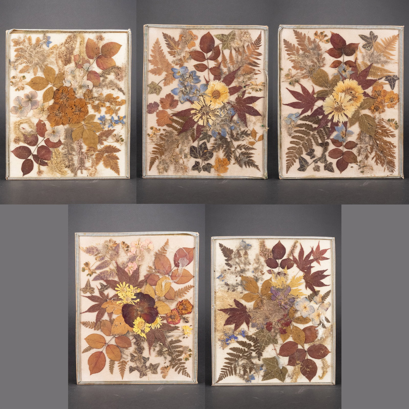 Vintage Pressed Flower Arrangments (1 of 6)