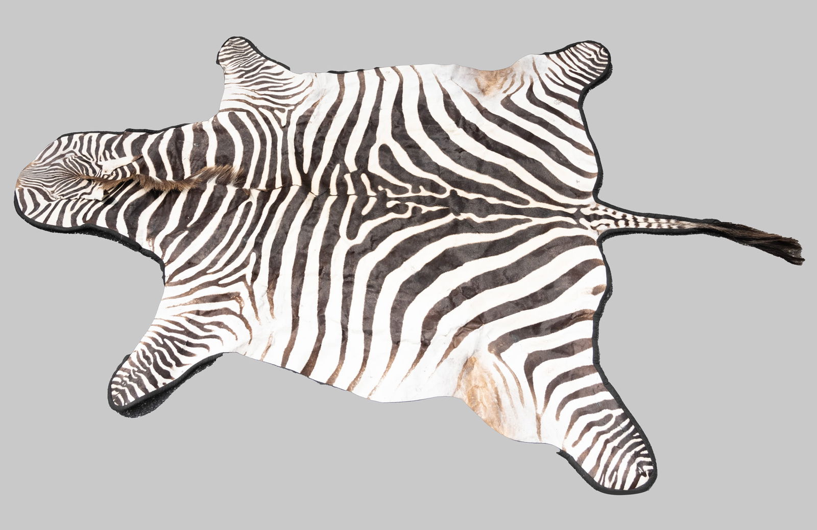 Zebra Skin Rug Taxidermy Mount: African Zebra Skin Rug Taxidermy Mount 20th Century Full Skin Complete with Head 8 ft L x 6.4 ft W 10 ft 3 L from the tail in Overall Great Condition Zebra Animal Taxidermy Hide Rug Please look at Pho