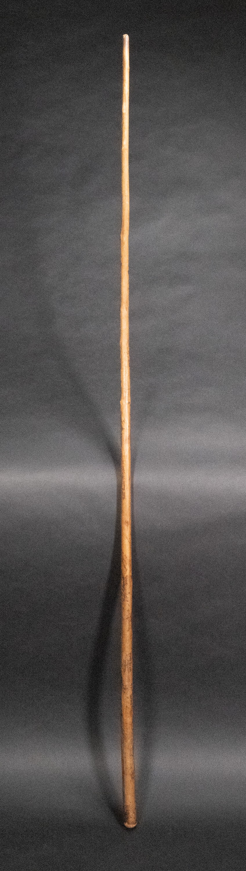 19th Century Civil War Era Hiking Stick (1 of 8)