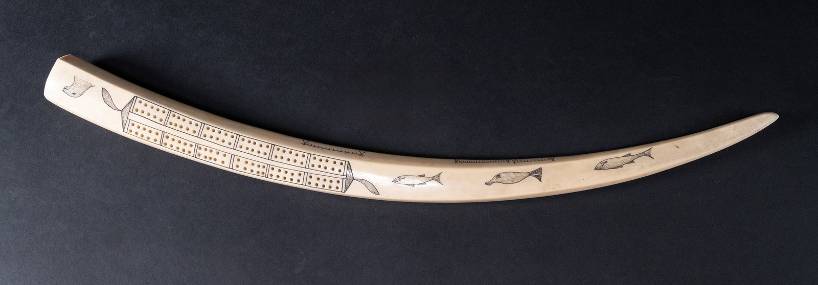 Scrimshaw Walrus Specimen Cribbage Board: Scrimsshawed Walrus Specimen Cribbage Board Eskimo Inuit Art Hand Carved Walrus Storyboard Formed as a Cribbage Board with Fine Scrimshaw Depictions of Seals Fishes and Hunting Racks 19th / 20th Cntur