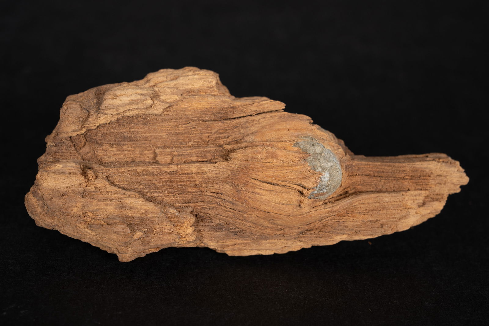 Gettysburg Bullet in Wood Pickett's Charge U.S. Civil War Relic (1 of 6)