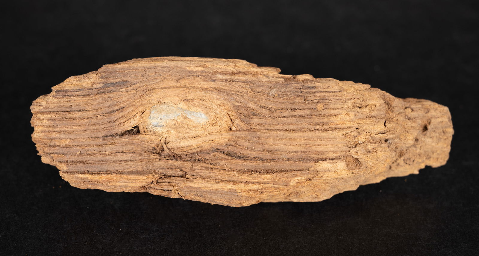 Gettysburg Bullet in Wood Pickett's Charge U.S. Civil War Relic (1 of 5)