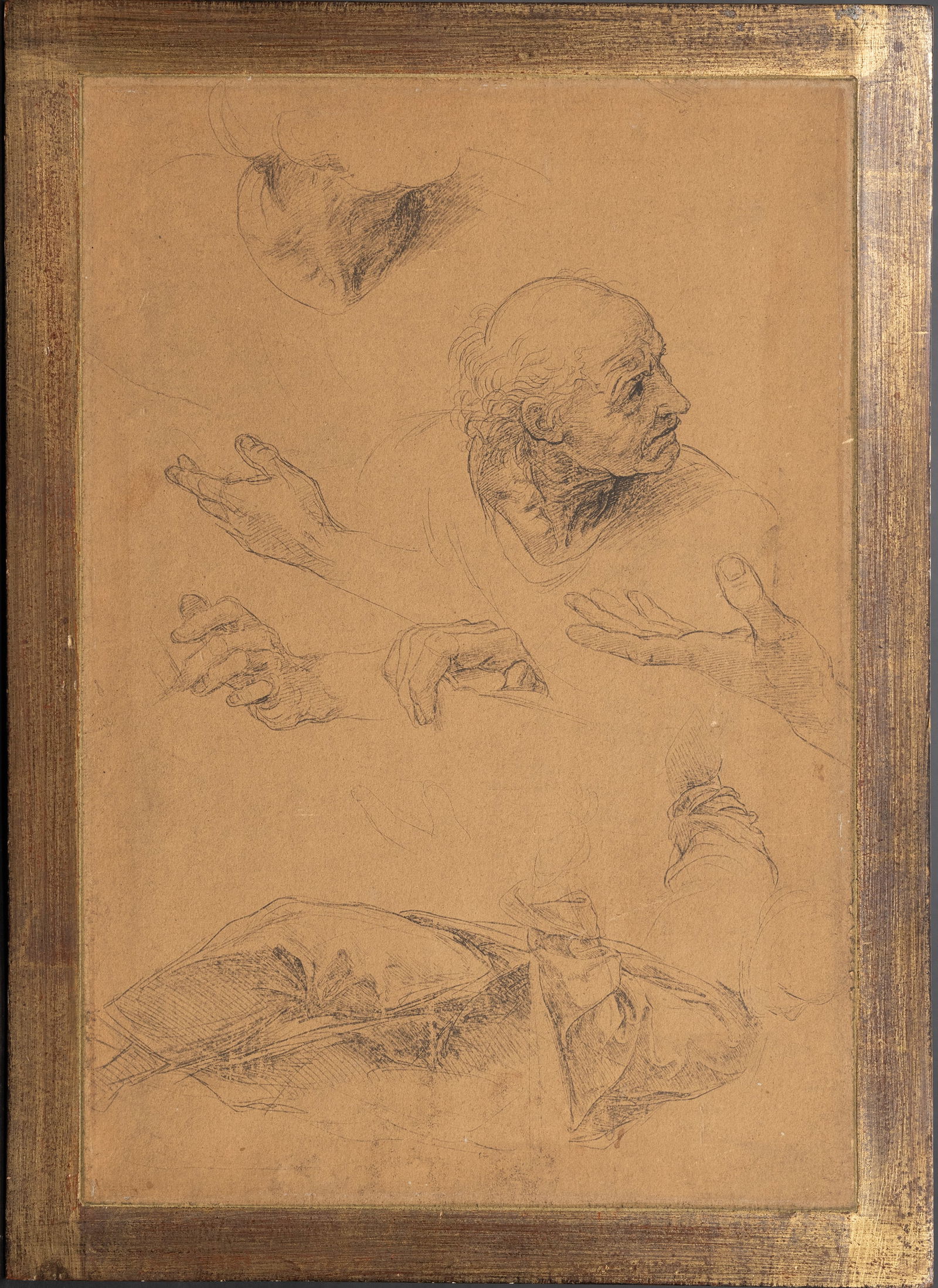 Raphael (Italian, 1483-1520) (1 of 4)