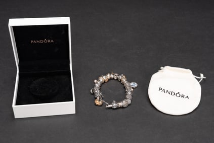 14K Gold Diamond 925 Sterling Silver Pandora Multi Charm Bracelet 22 Charms