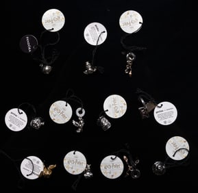 Pandora Harry Potter Sterling Silver Charm Grouping
