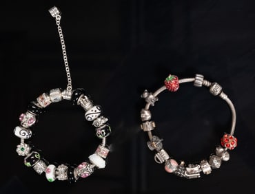 Pandora Sterling Silver Charm Bracelet Group Lot  Retired