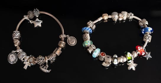 Pandora Sterling Silver Charm Bracelet Lot Retired