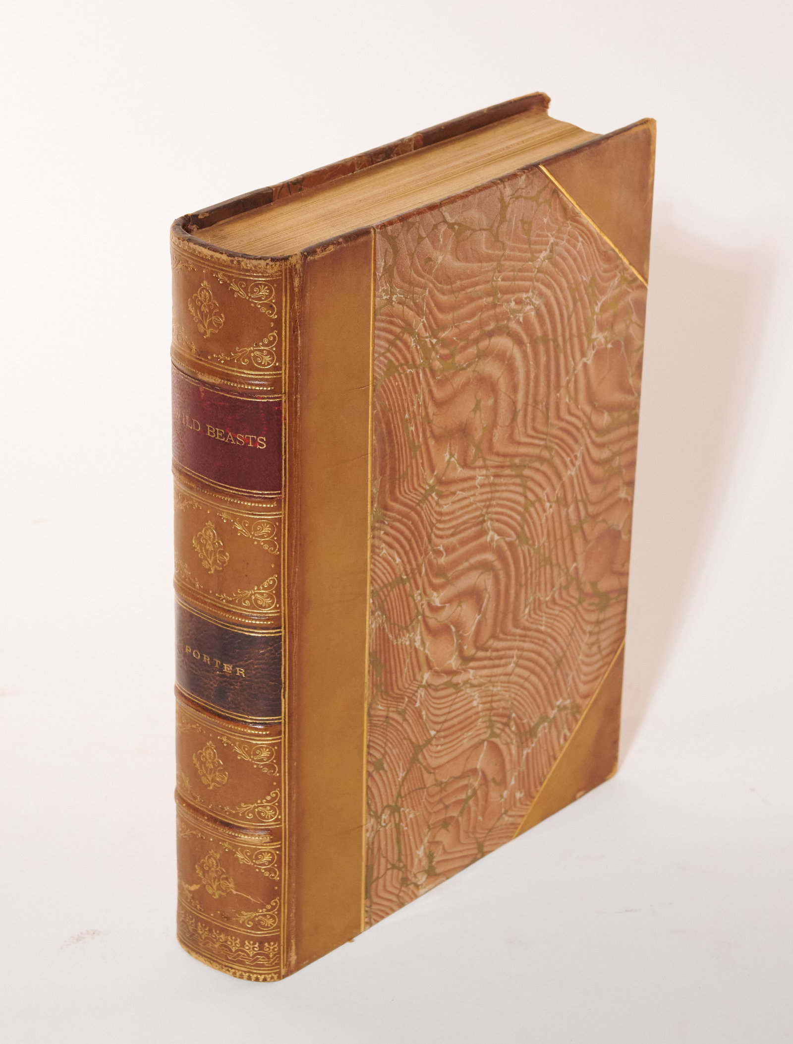 1894 Wild Beasts By J Hampden Porter Fine Binding (1 of 12)