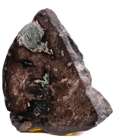 Fossilized Petrified Wood Slab