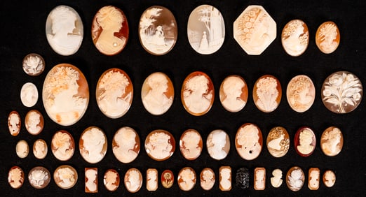 Hand Carved Shell Cameo Plaque Collection 49pc