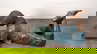 item-209172186=11