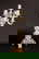 item-209172222=1