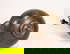 item-209172229=13