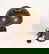 item-209172229=16