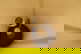 item-209172233=10