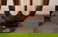item-209172233=12