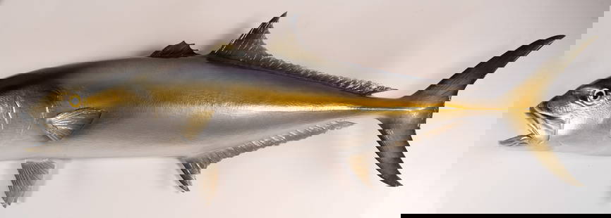 Amberjack Fish Lifesize Taxidermy Wall Mount Fishing Trophy  Sculpture: Yellow Tail Amberjack Fish Lifesize Taxidermy Wall Mount Fishing Trophy Sculpture Approx: 51 3/4"L 18"H 8 1/4"W For This Item we offer In-House Delivery (Tri-State Area Only) Please Call Us to Arrange