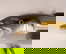 item-209172239=6