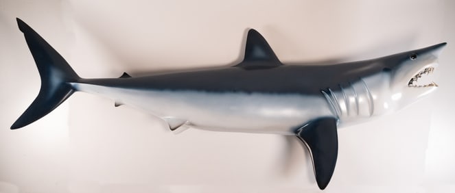 Large Mako Shark w/ Teeth Taxidermy Fishing Trophy Wall Mount Sculpture 54"L