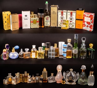 Large Perfume Bottle Collection