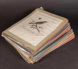 ROUX Jean Louis Florent Polydore (1792-1833) Birds