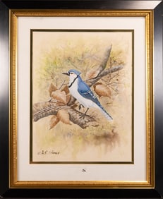 Edward Von S Dingle (American, 1893-1975) Ornithology, Blue Jay