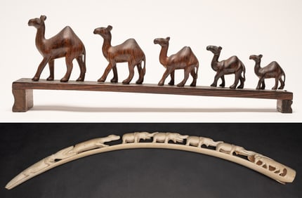 Wood & White Coral Animal Sculpture Collection