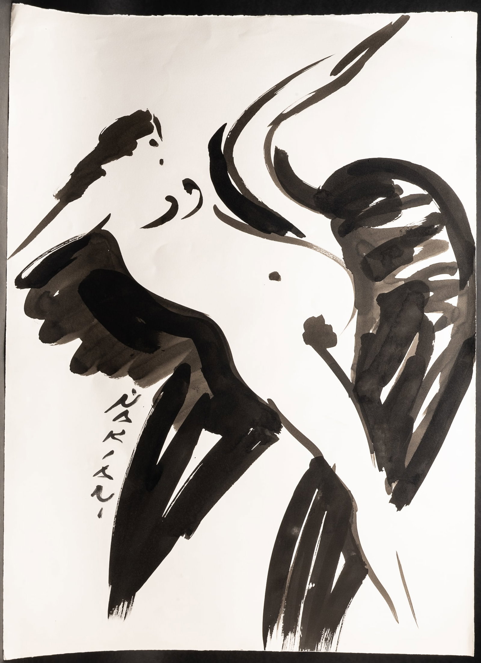 Reuben Nakian (American, 1897-1986) "Leda and the Swan" Ink on Paper: Reuben Nakian (American, 1897-1986) 'Leda and the Swan' Black Ink on Paper Signed lower left 41" Height 29 3/4" Length Nude Nymph greek mythology in Overall Good Condition We Provide Efficient and
