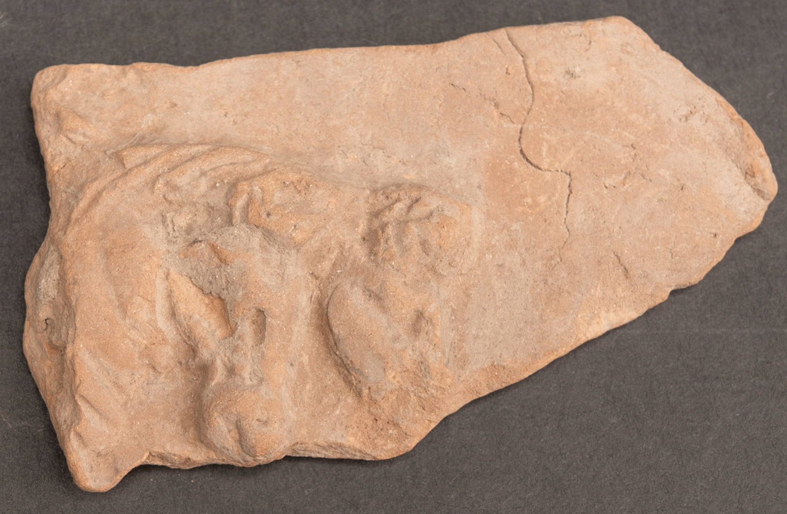 Roman Campana Terracotta Relief Fragment with Chariot Race Circa 1st Century BCE-1st Century CE (1 of 5)