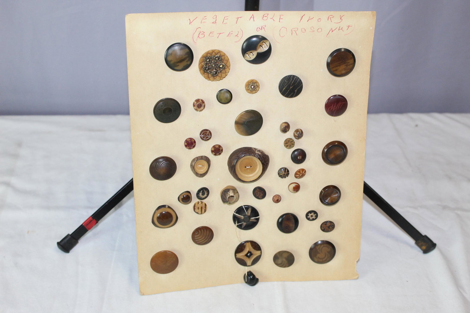 Vegetable ivory button card (1 of 10)