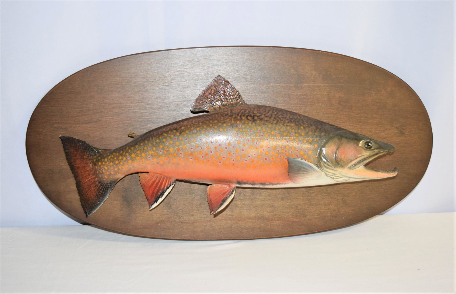 David Footer Taxidermy Fish Mount: Beautiful David Footer Taxidermy fish mount of a Brook Trout. The mount measures 26in L x 12.25in overall. The fish measures approx. 21in L overall. The fish's skin is cracked slightly around the head