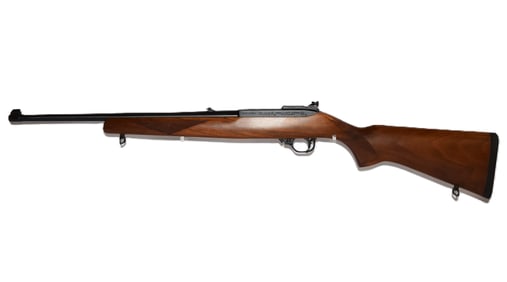 Ruger Model 10/22 Carbine .22 LR