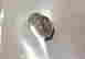 item-120410578=3