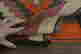 item-79802074=10