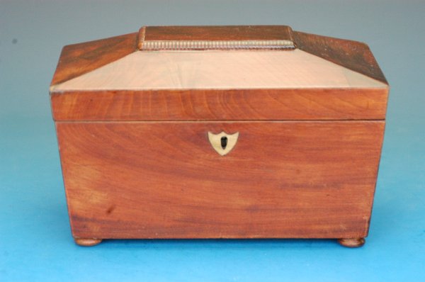 Casket shaped mahogany tea caddy