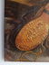 Vincent van Gogh (Oil on Canvas) - 3