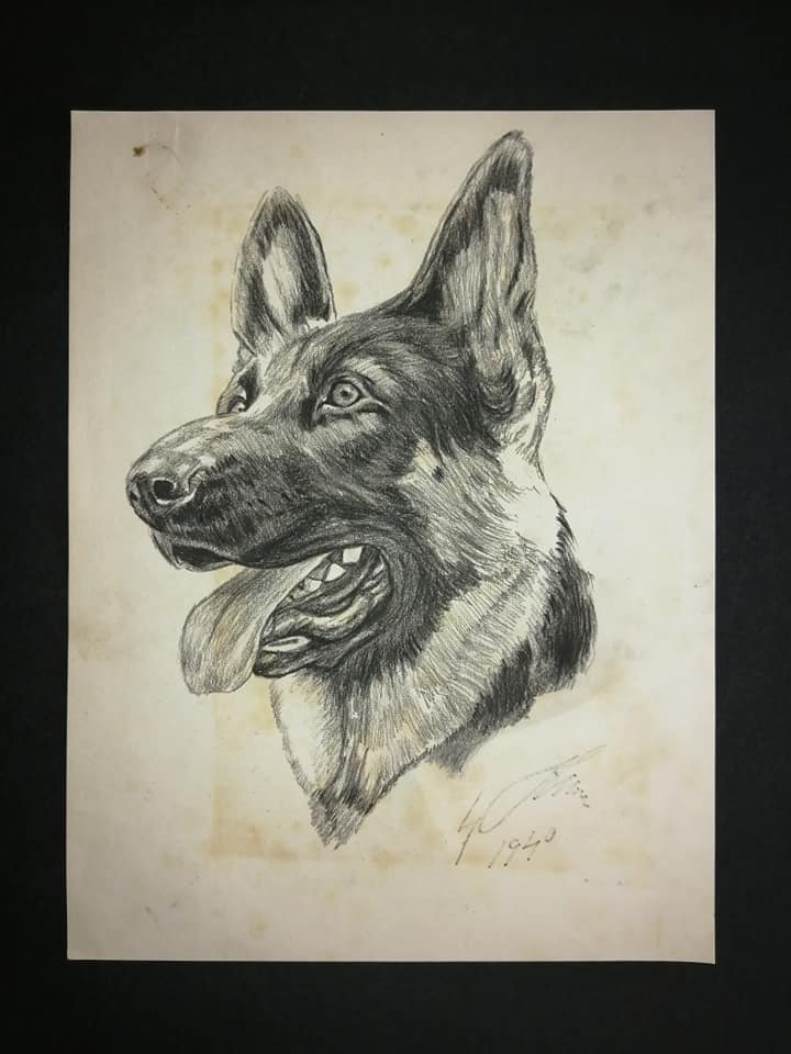 ADOLF HITLER DRAWING OF GERMAN SHEPHERD. Dec 21, 2019 International