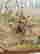 item-108529255=2