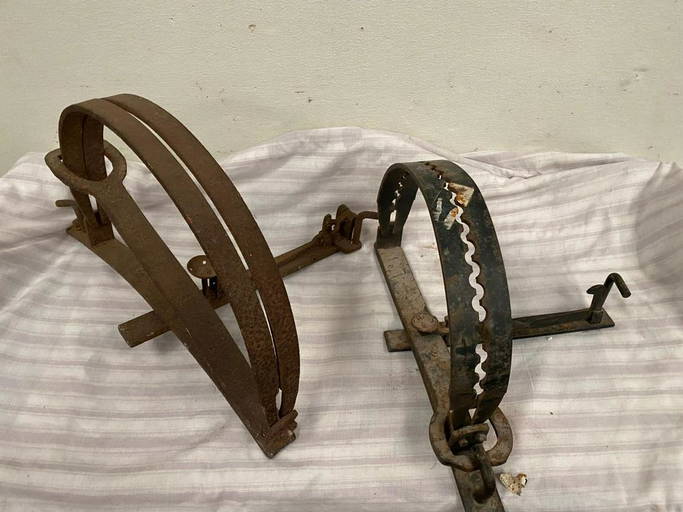 Two Steel Animal Traps.