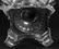 A George IV Silver Hot Water Urn by Richard Sibley - 12