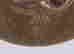 item-71637376=4