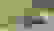 item-71637573=6