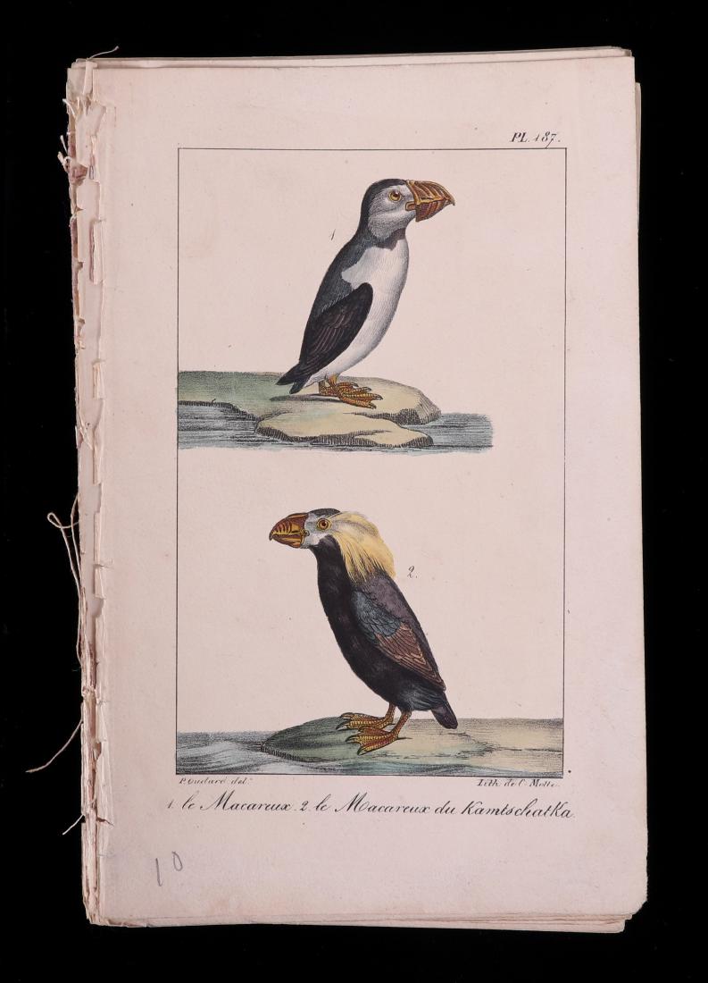 Paul Louis Oudart (French 1796 - 1850) Lithographs: Twenty-three hand colored lithographic plates after drawings by Oudart, lithography by Charles Motte, head of workshop Jean Baptiste Meunier. Dimensions: Each is 8 5/8" x 5 1/2". Provenance: From a lo